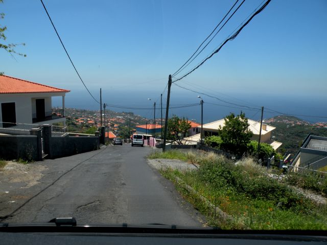 16 Madeira eira do Sarrado - foto