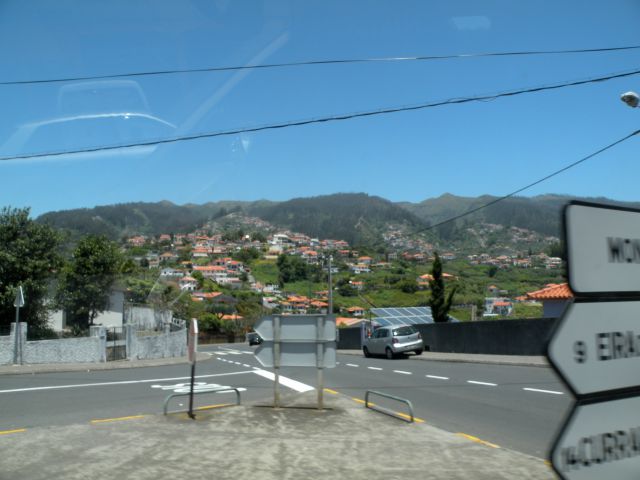 16 Madeira eira do Sarrado - foto