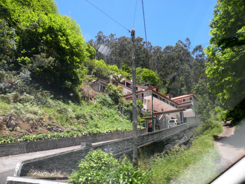 16 Madeira eira do Sarrado - foto povečava