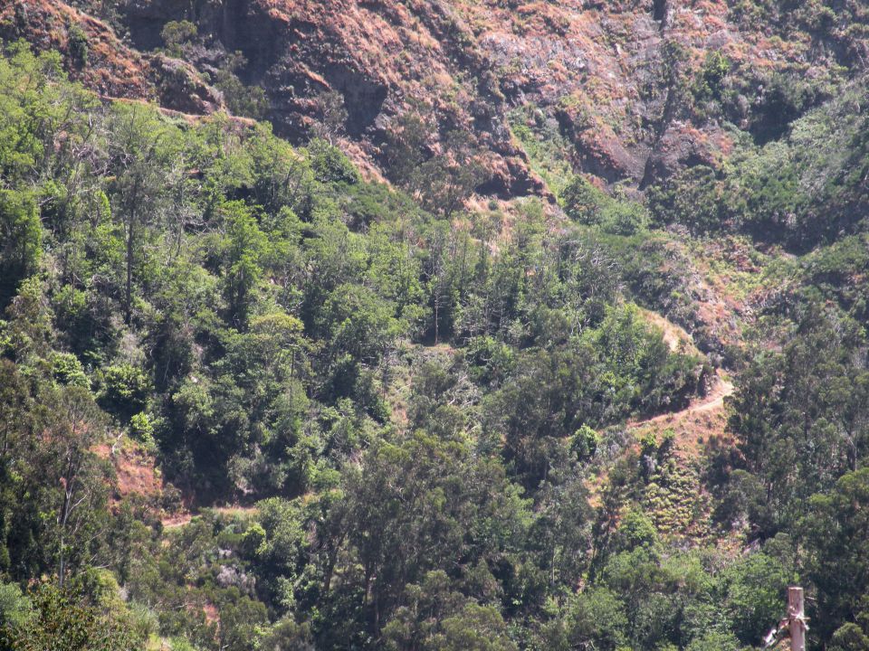 16 Madeira Nunska vas - foto povečava