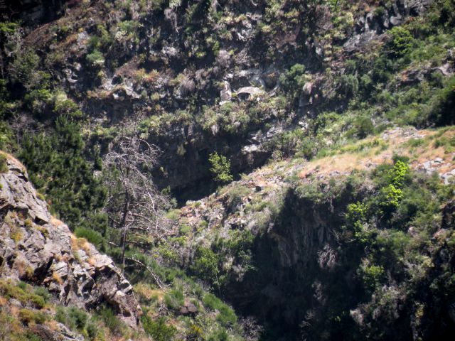 16 Madeira Nunska vas - foto