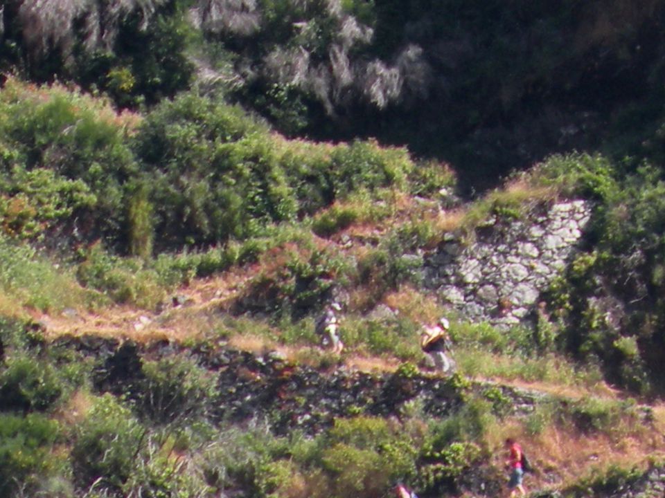 16 Madeira Nunska vas - foto povečava