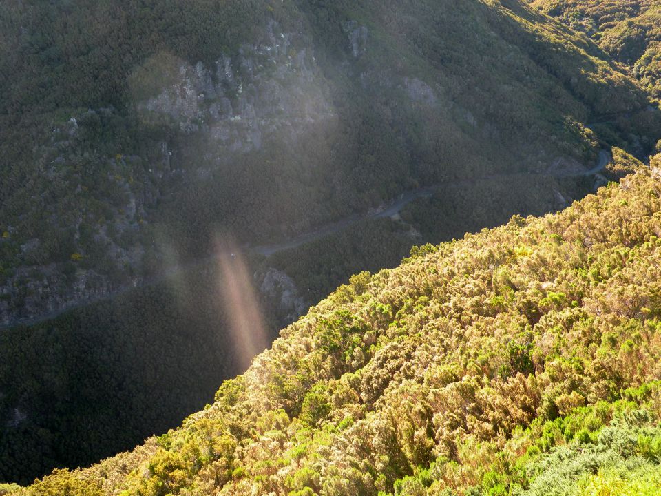 16 Madeira Paul da Serra - foto povečava