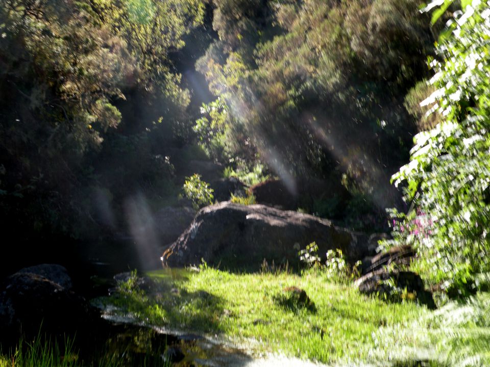 16 Madeira Paul da Serra - foto povečava