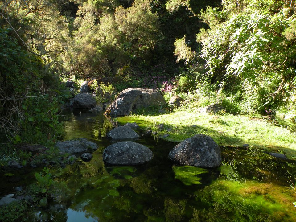 16 Madeira Paul da Serra - foto povečava