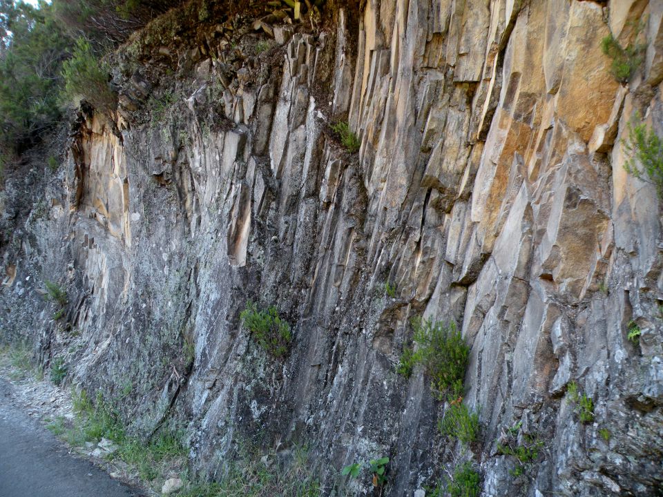 16 Madeira Paul da Serra - foto povečava