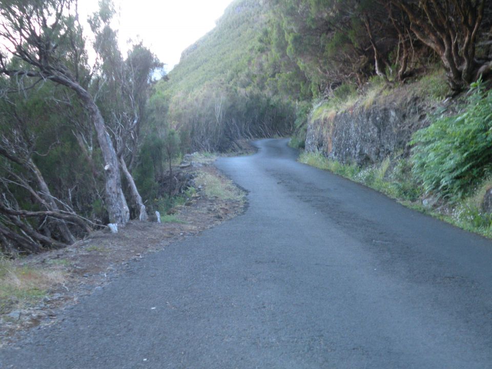 16 Madeira Paul da Serra - foto povečava