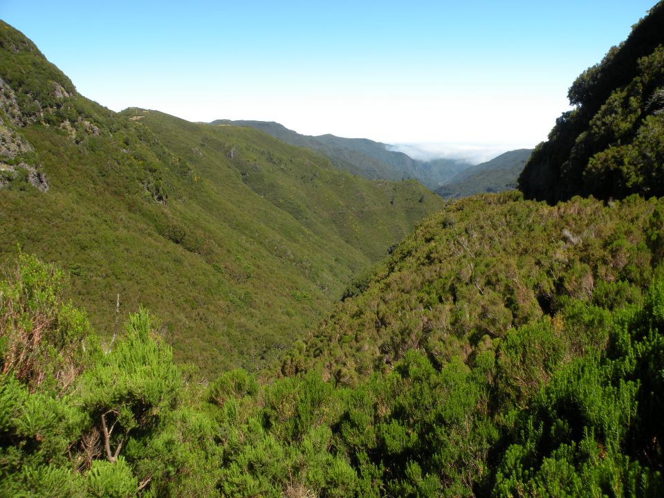 16 Madeira Paul da Serra - foto povečava