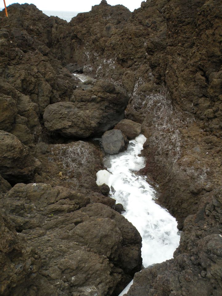 16 Madeira porto Monitz - foto povečava