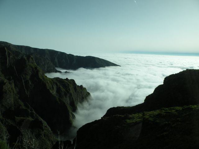 16 Madeira pico arreiro - foto