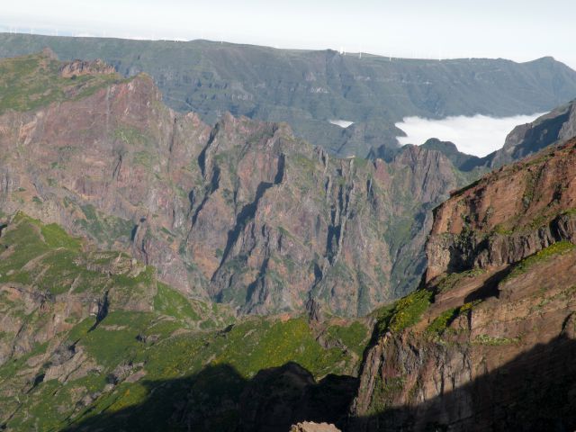 16 Madeira pico arreiro - foto