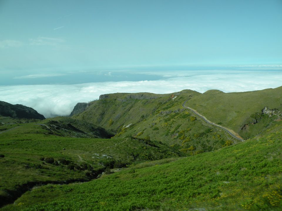 16 Madeira pico arreiro - foto povečava