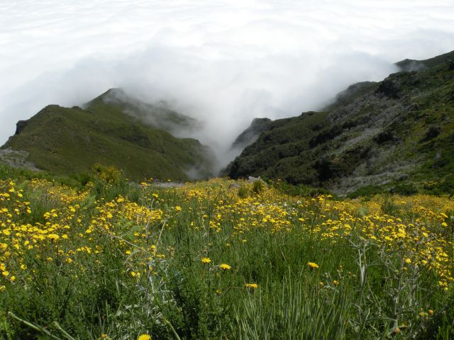 16 Madeira pico Ruivo - foto