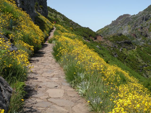 16 Madeira pico Ruivo - foto