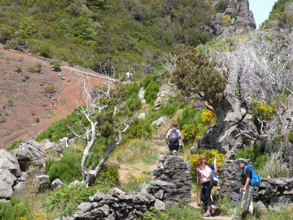 16 Madeira pico Ruivo - foto povečava