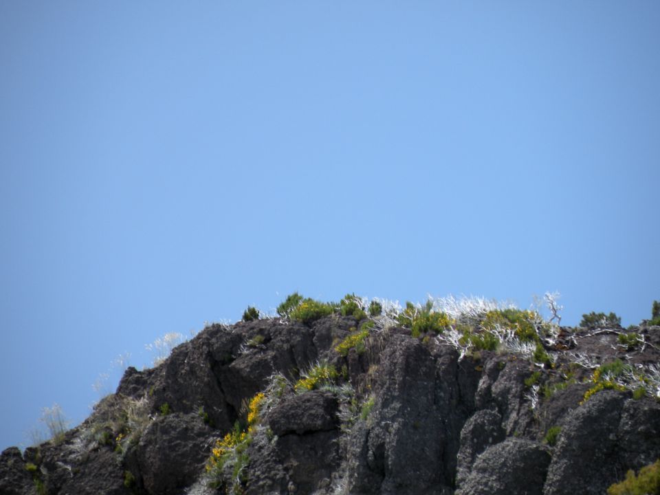 16 Madeira pico Ruivo - foto povečava