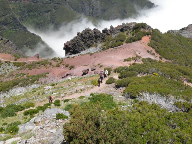 16 Madeira pico Ruivo - foto