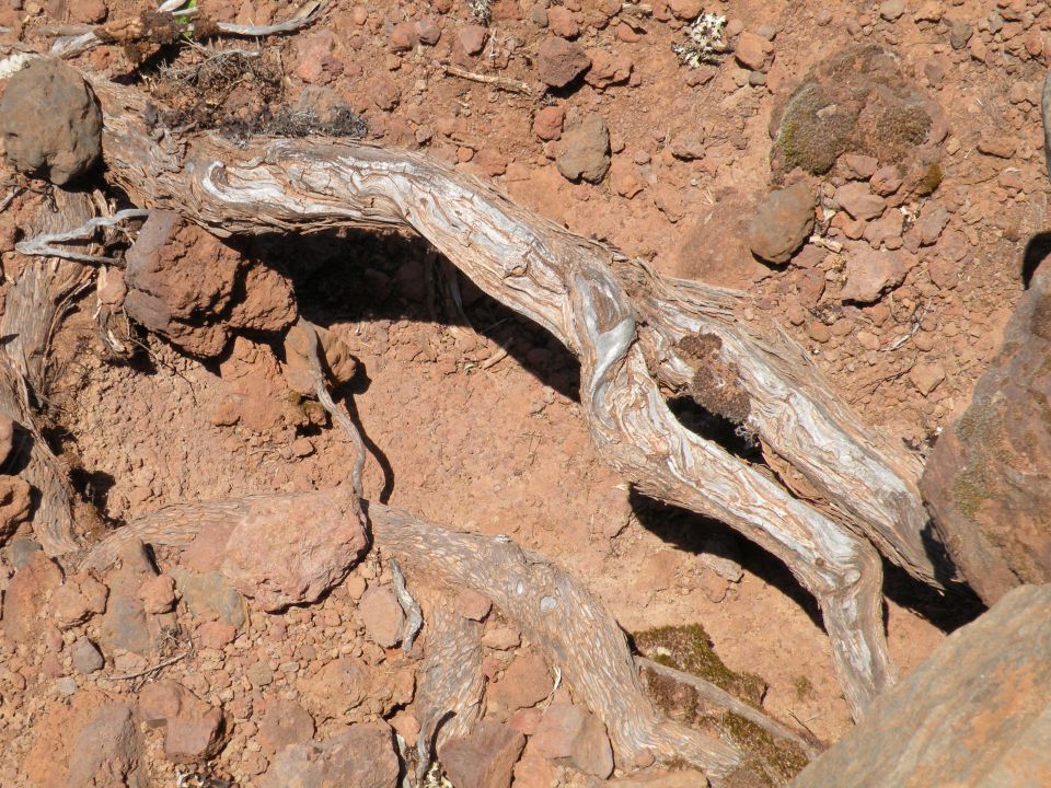 16 Madeira pico Ruivo - foto povečava