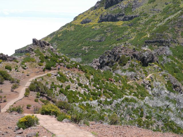 16 Madeira pico Ruivo - foto