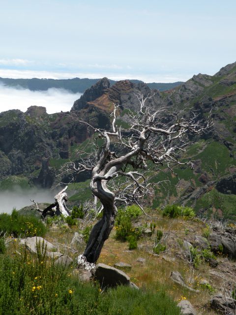 16 Madeira pico Ruivo - foto