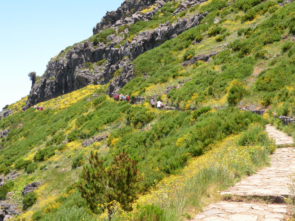 16 Madeira pico Ruivo - foto povečava