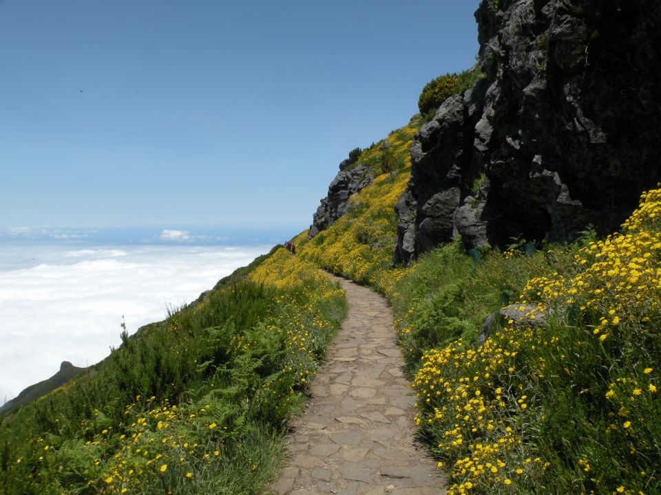 16 Madeira pico Ruivo - foto povečava