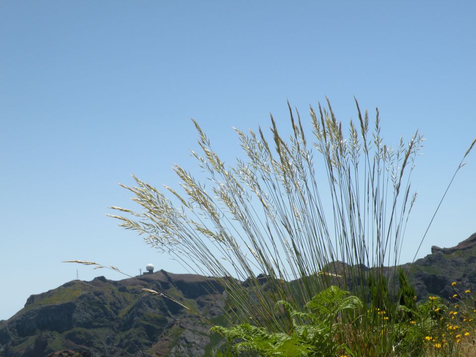 16 Madeira pico Ruivo - foto povečava