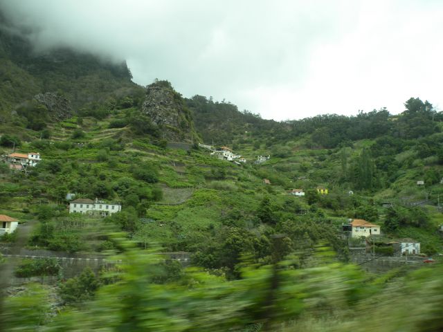 16 Madeira Santana - foto