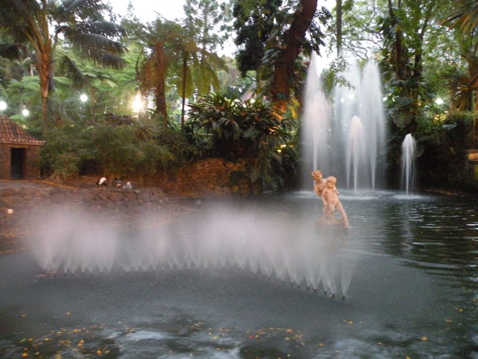 16 Madeira Funshal - foto povečava