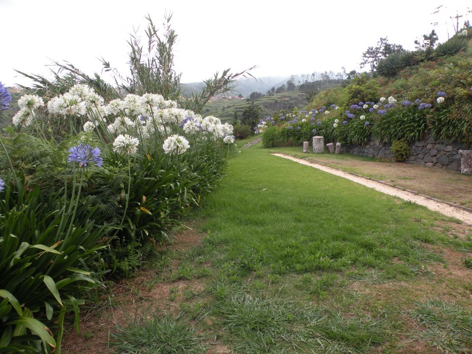 16 madeira, Prezeras - foto povečava