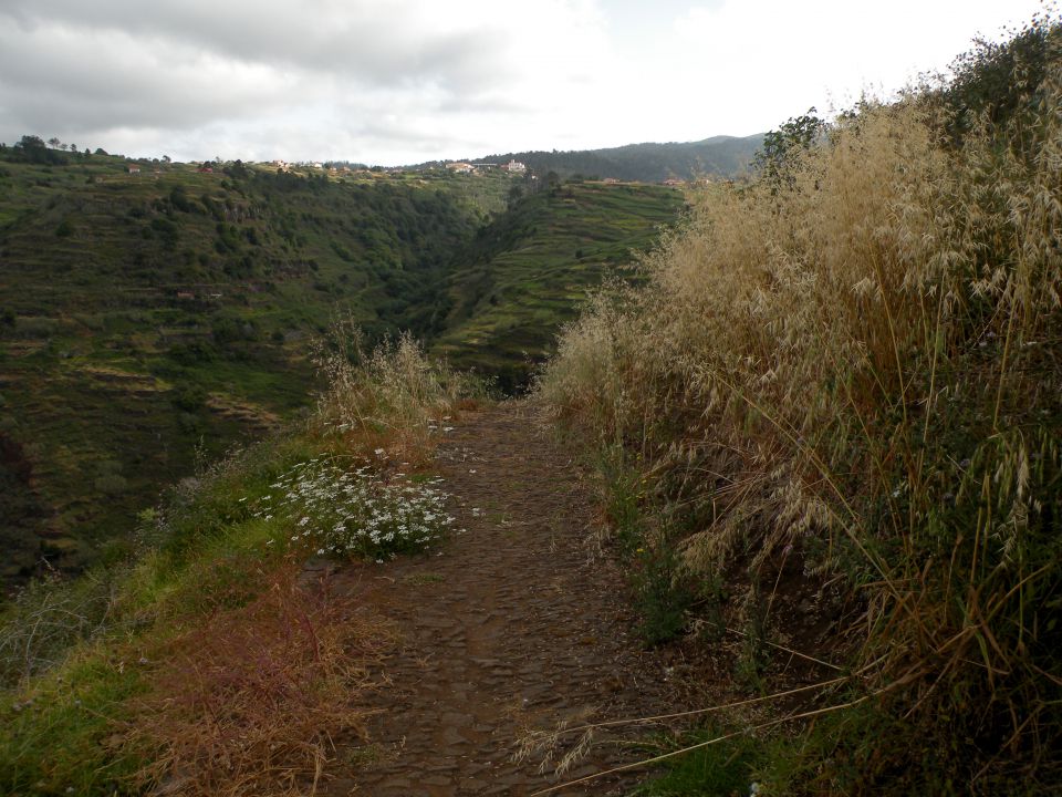 16 madeira, Prezeras - foto povečava