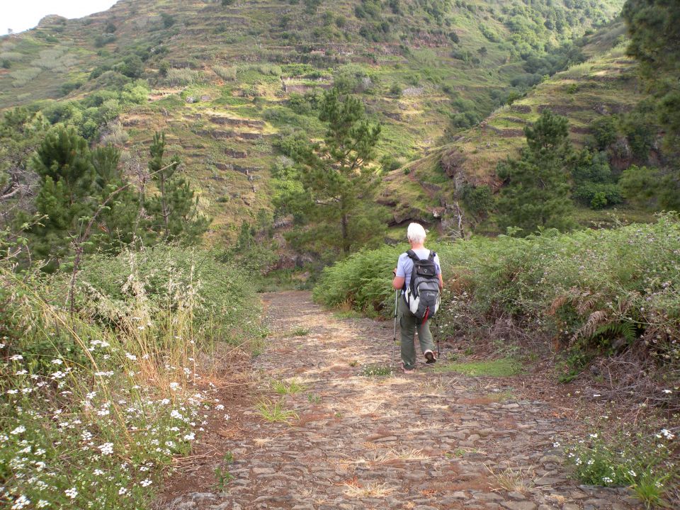 16 madeira, Prezeras - foto povečava