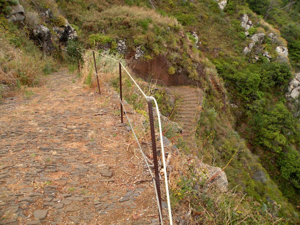 16 madeira, Prezeras - foto povečava