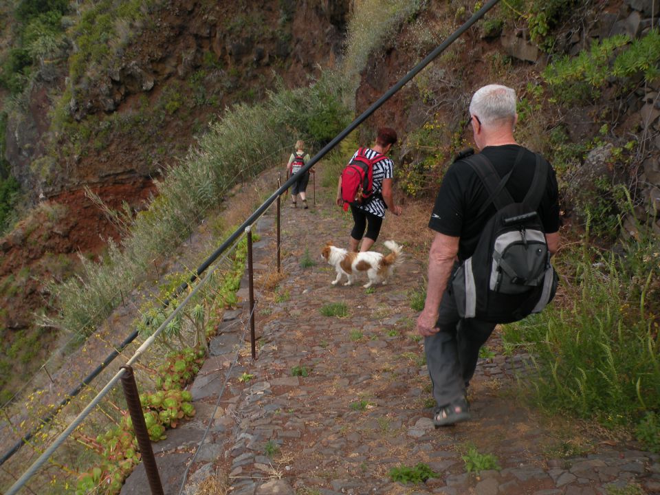 16 madeira, Prezeras - foto povečava