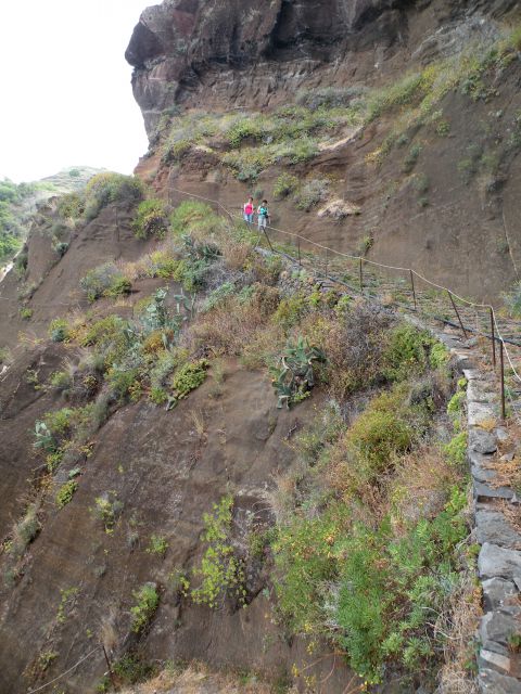 16 Madeira Pol do Mar - foto