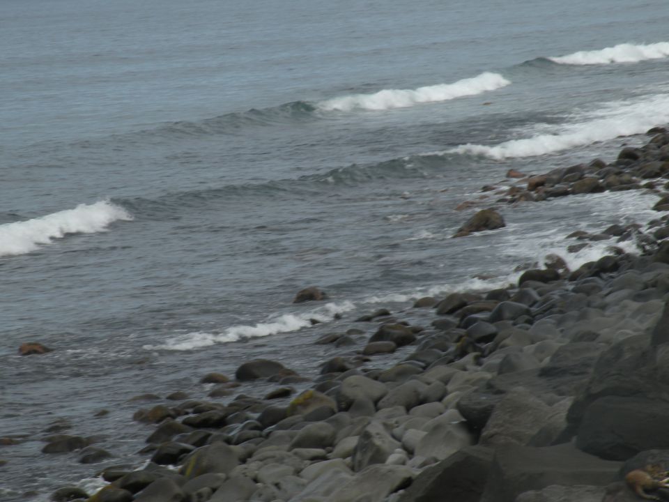 16 Madeira Pol do Mar - foto povečava