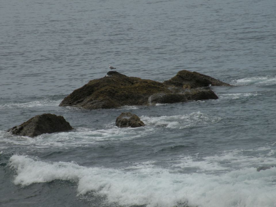 16 Madeira Pol do Mar - foto povečava