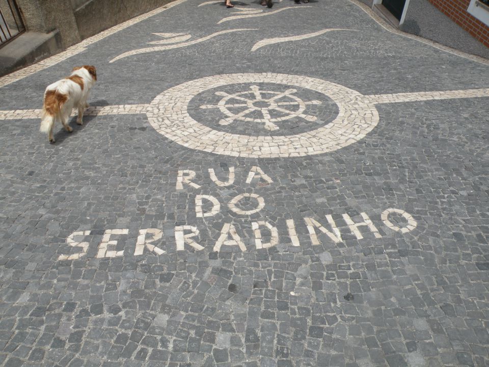 16 Madeira Pol do Mar - foto povečava