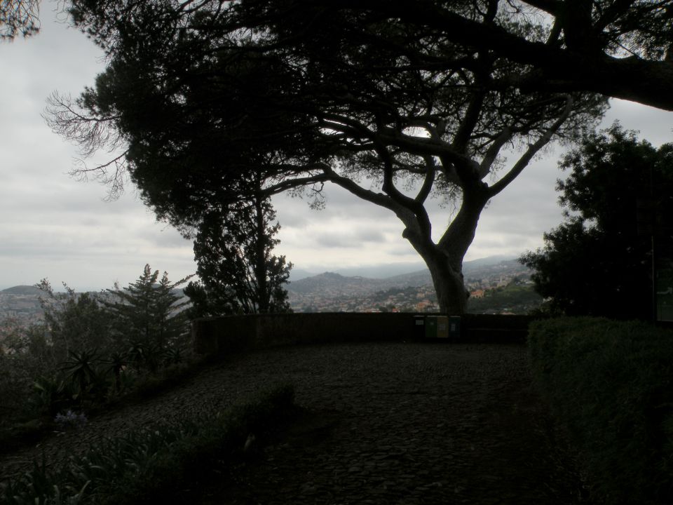 16 Madeira, botanični vrt, Monte - foto povečava