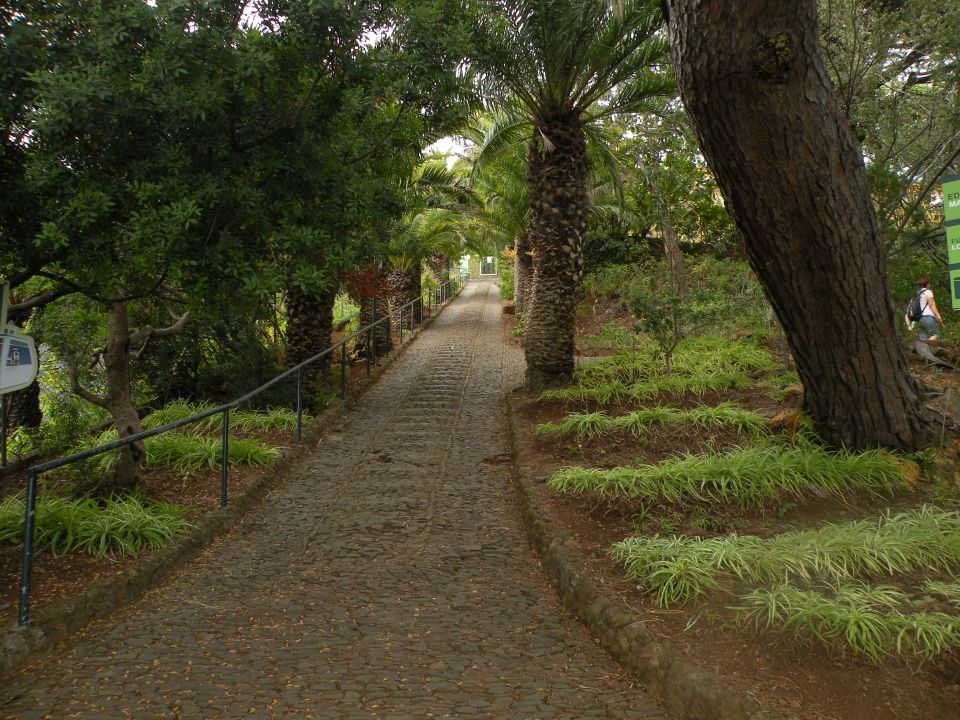 16 Madeira, botanični vrt, Monte - foto povečava