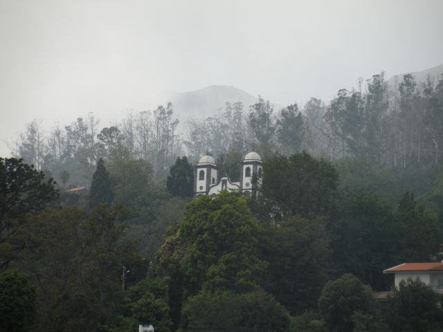 16 Madeira, botanični vrt, Monte - foto