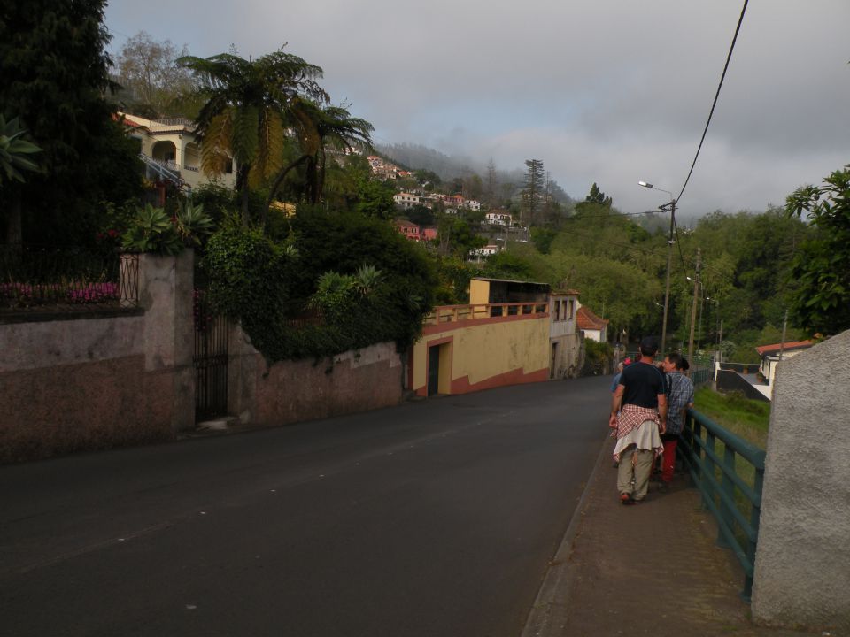 16 Madeira, botanični vrt, Monte - foto povečava