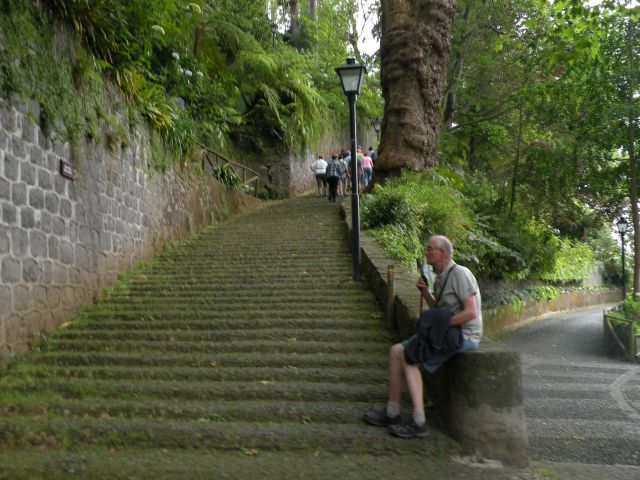 16 Madeira, botanični vrt, Monte - foto