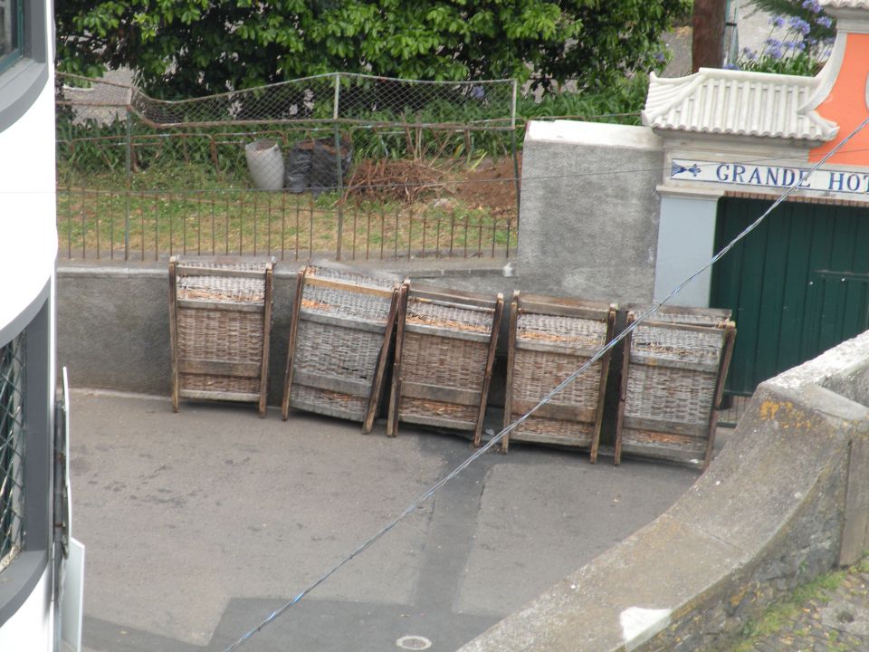 16 Madeira, botanični vrt, Monte - foto povečava