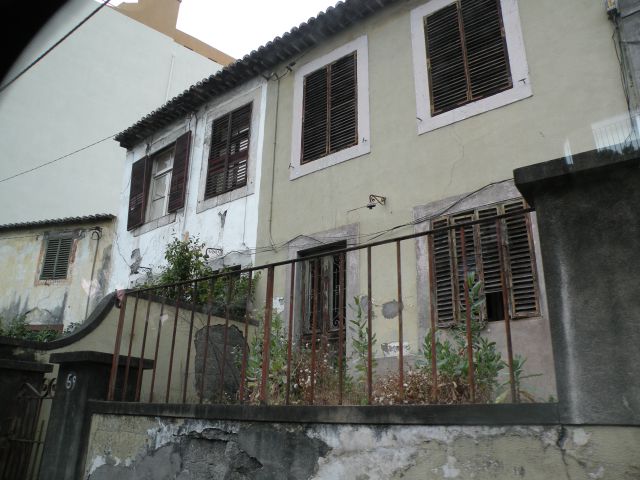 16 Madeira, botanični vrt, Monte - foto