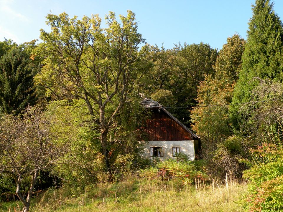 16 V.k.Zeleno okno - foto povečava