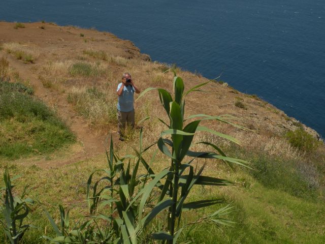 16 Madeira Ponta do Pargo - foto