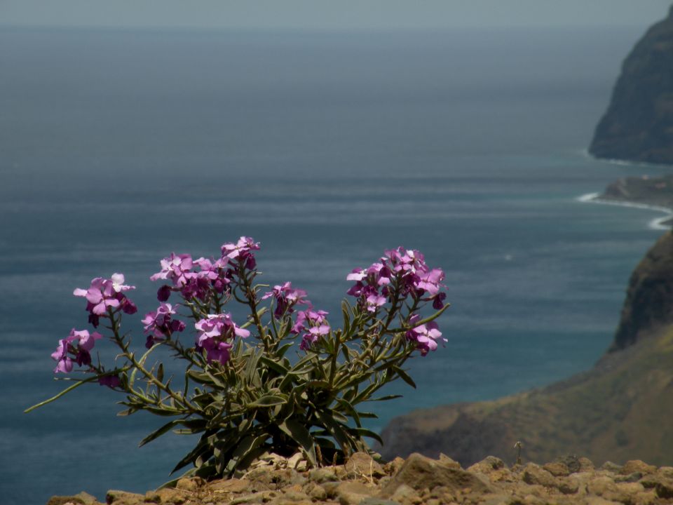 16 Madeira Ponta do Pargo - foto povečava