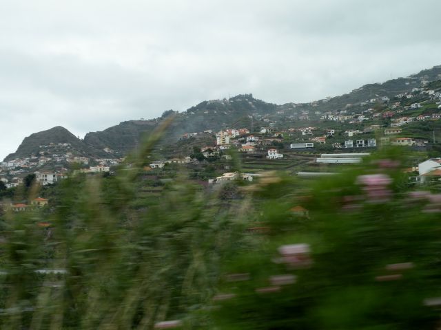 16 Madeira Ponta do Pargo - foto