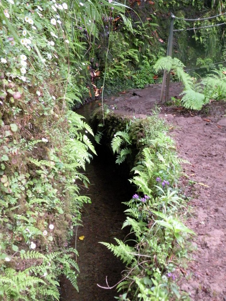 16 Madeira Quamadas - foto povečava